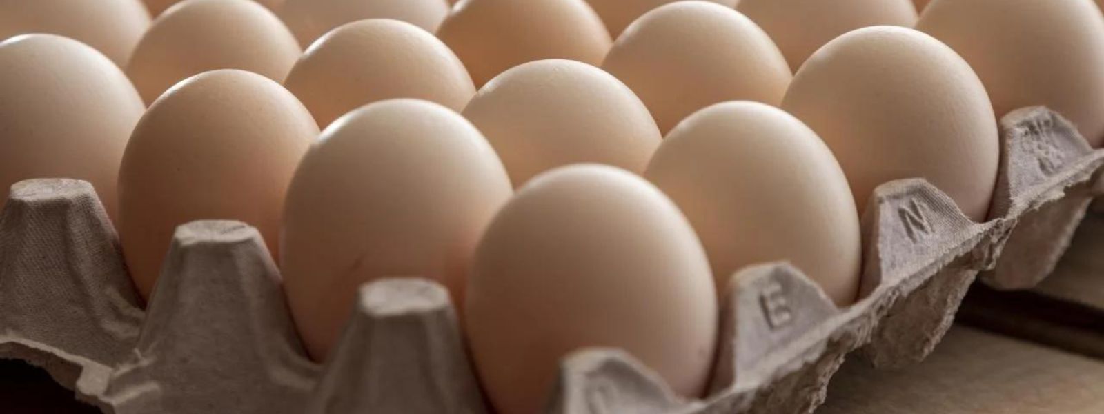 Minister of Agriculture explores opportunities to export eggs and chicken